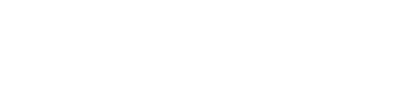 Visam logosu
